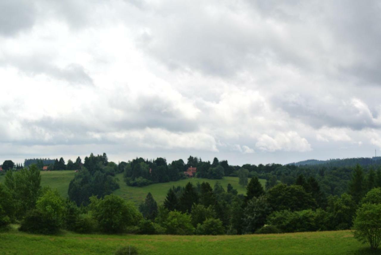 Ferienwohnung Harz-Flair 264 Hohegeiß Esterno foto