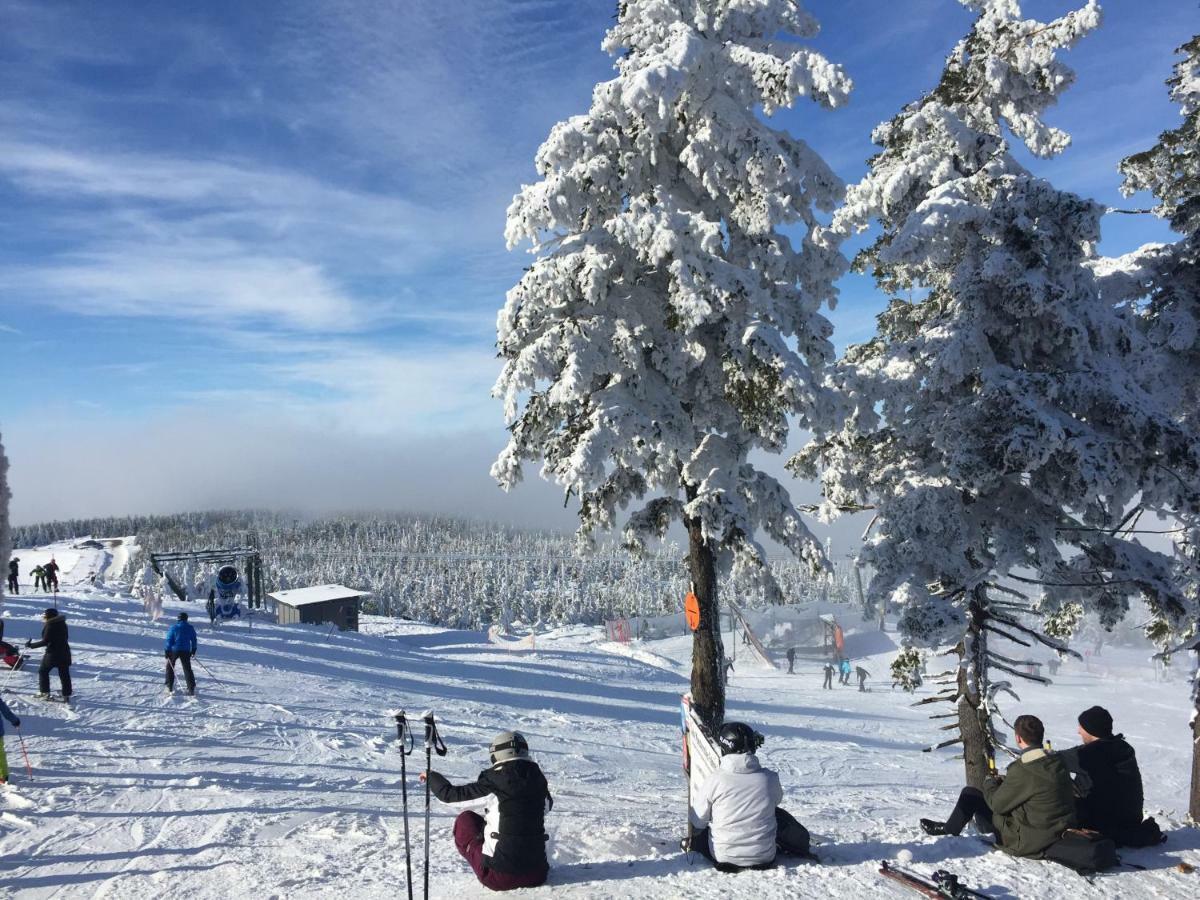 Ferienwohnung Harz-Flair 264 Hohegeiß Esterno foto