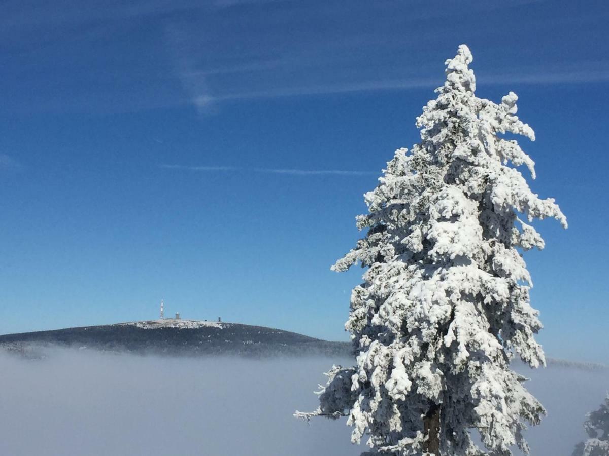 Ferienwohnung Harz-Flair 264 Hohegeiß Esterno foto