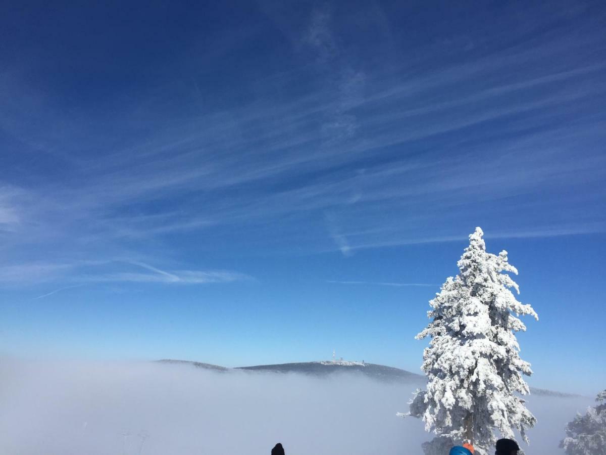 Ferienwohnung Harz-Flair 264 Hohegeiß Esterno foto